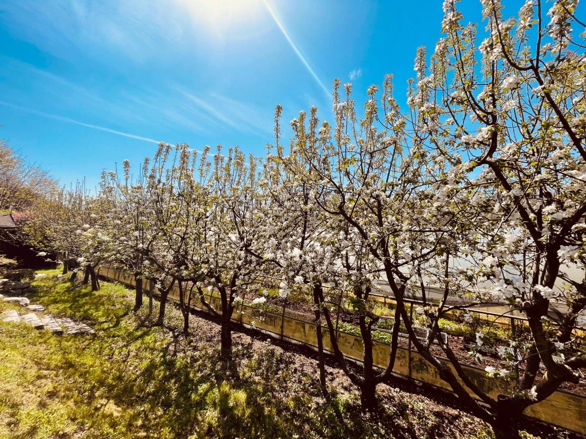 Agriturismo Il Cucchiaio Di Legno Orta San Giulio Luaran gambar